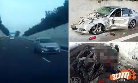 Photos: Lim Wee Teck, Rozaidy, Facebook screengrabs