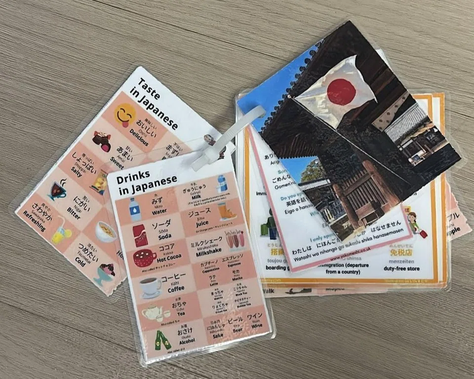 PECS cards prepared by Madam Hafizah to help her twins communicate during their trip to Japan. PHOTO: BERITA HARIAN