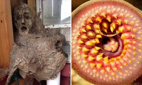 Terrifying photos of nature that will make your skin crawl