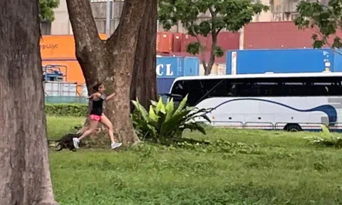Jogger screams as she is chased by otters at West Coast Park while bystanders watch