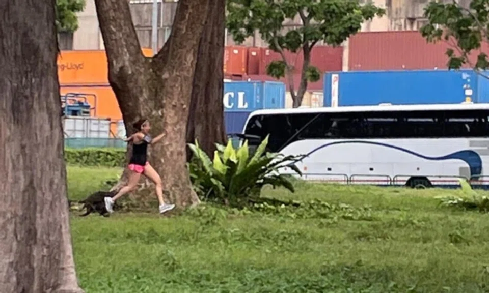 The woman might have stepped on a baby otter while jogging, which provoked the otters.