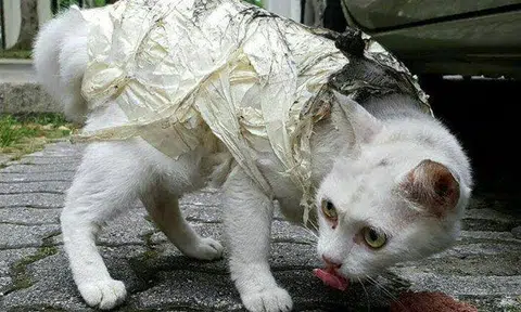 Whoever did this must have a screw loose