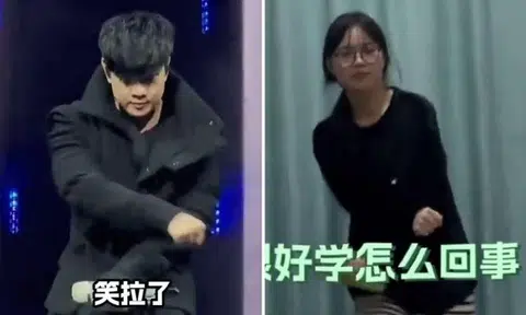 The dance has been parodied by others.