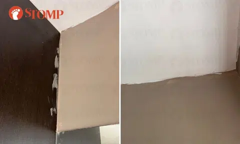 Woman makes police report over 'unsatisfactory' paint job, rejects company's offer to 'touch up'