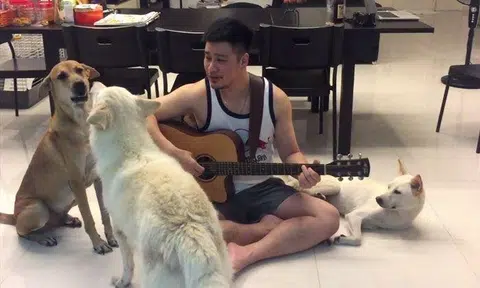 SOSD president serenades his dogs with rendition of Ed Sheeran's Perfect