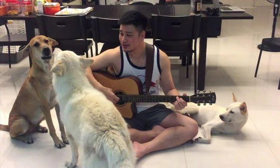 SOSD president serenades his dogs with rendition of Ed Sheeran's Perfect