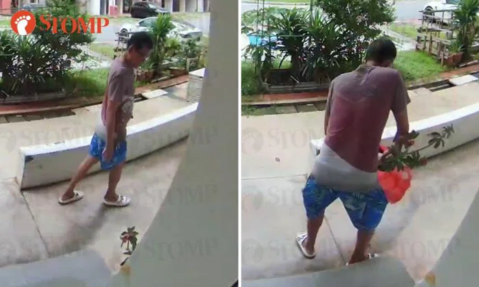 Man eyes Hougang resident's plant longingly, returns with plastic bag for his 'soilmate'