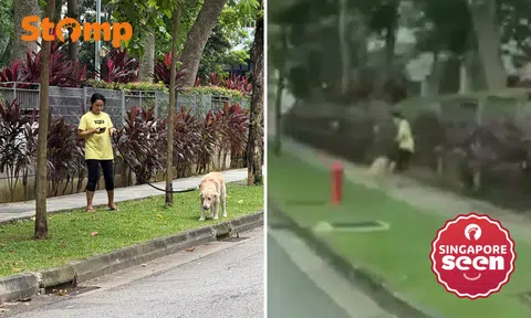 Woman 'shows no remorse' after Stomper confronts her for kicking golden retriever in Tanah Merah