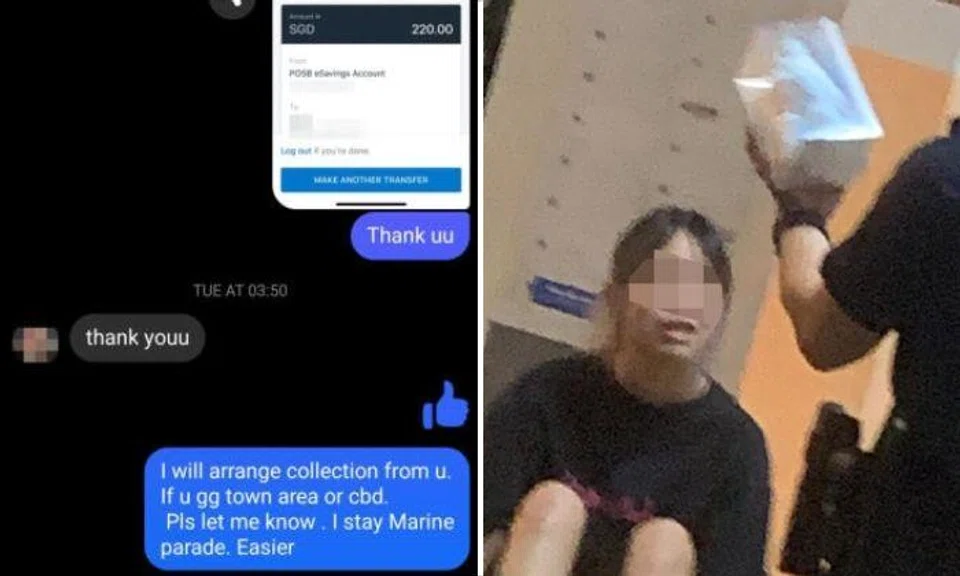 Woman, 37, calls cops after paying seller on Facebook $220 for Labubu toy that turns out to be fake