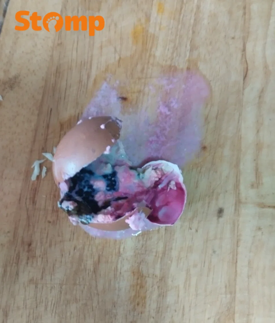 Stomper horrified by greenish pink egg from Bukit Panjang shop, SFA finds no food safety lapses
