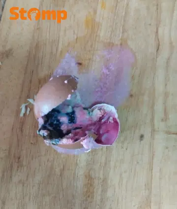 Stomper horrified by greenish pink egg from Bukit Panjang shop, SFA finds no food safety lapses