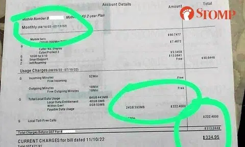 Sharing a photo of her bill, Stomper Elly said: "It is not even the end of the month. How come from Oct 8 to Nov 7, it is calculated as $300 plus already?"