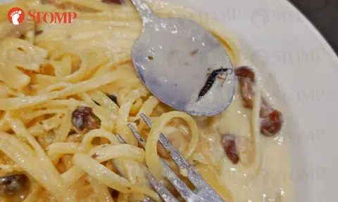 Diner expresses disgust and concern after finding 'black worm' in pasta at Han's