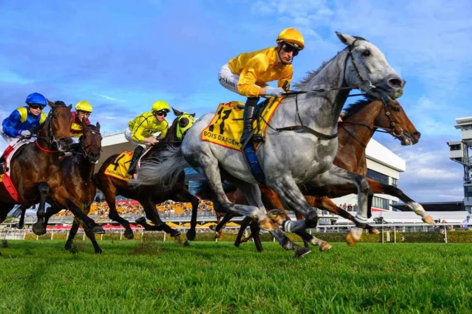 Bois D'Argent (Blake Shinn) landing a 25-1 blow in the Group 1 Doomben Cup (2,000m) in 2024. The back-to-back mission looks tougher on May 24, but owners are keeping the faith.