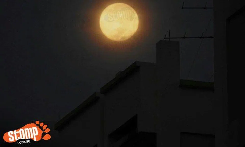  Stomper's stunning photos of the third Supermoon of 2016