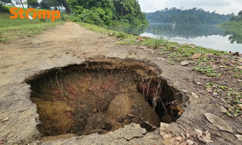 MacRitchie Reservoir Park cordoned off due to hole in ground