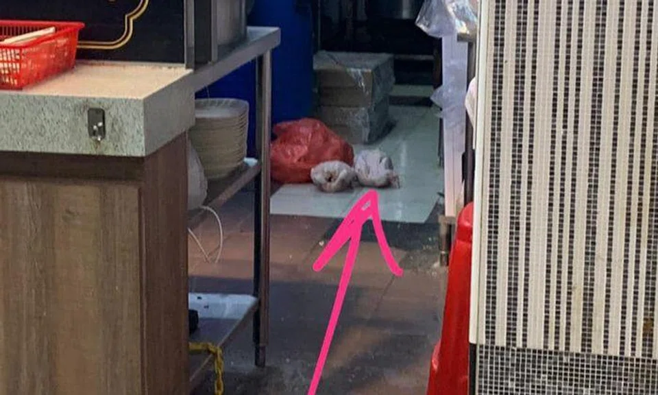 Photo: Haider Maíl/Facebook