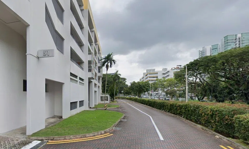 Man arrested after damaging NParks crow traps at Havelock Road, causing trapped birds to escape