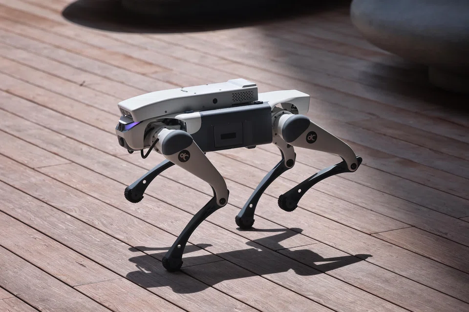 A quadrupedal ‘dog’ robot seen at RoboSG! 2025 at Punggol Digital District on March 14.