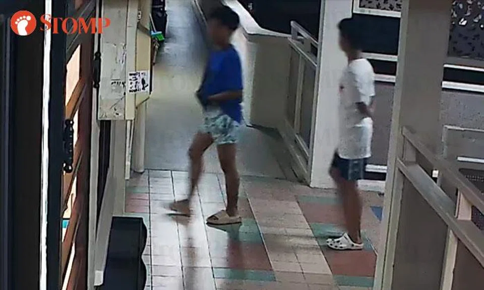 Duo allegedly use broom to cover camera before taking Nike shoes from outside Bukit Merah flat
