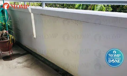West Coast Town Council taking action against contractor for paint job at Blk 701