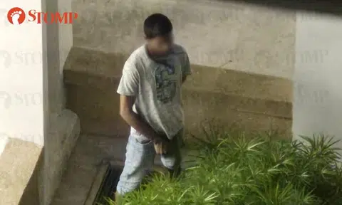 Man pees on grass patch after drinking at Sembawang void deck: Town council advises reporting to police