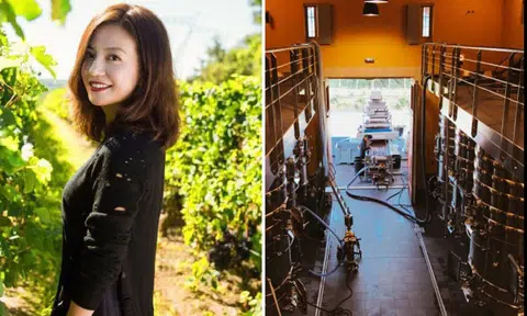 Vicki Zhao shows off her million-dollar French vineyard