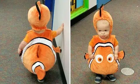 Clowning around: Baby's adorable Nemo costume sends tails wagging