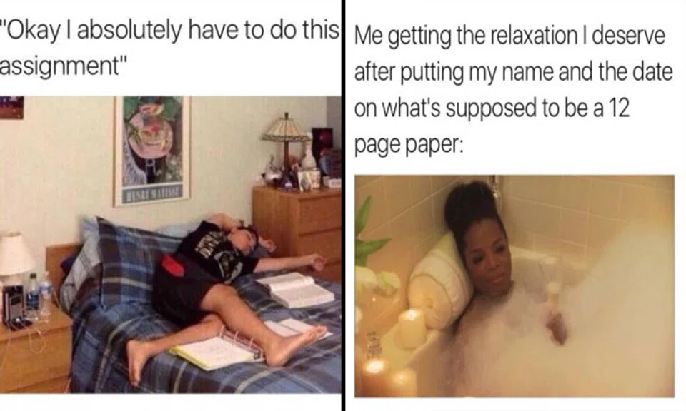 Honest homework jokes that every student will relate to