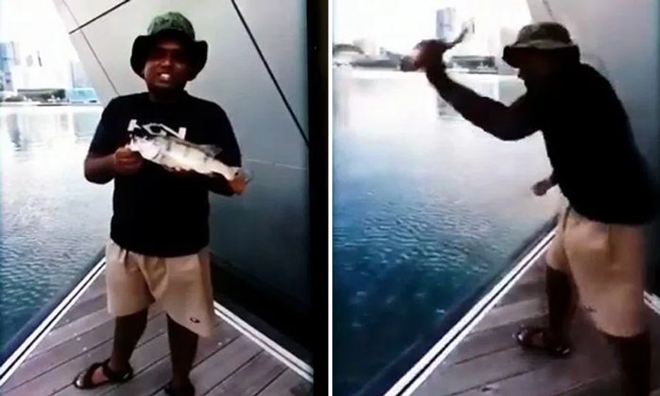 Man apologises after video shows him slam-dunking fish into water and shouting, 'Be free!'