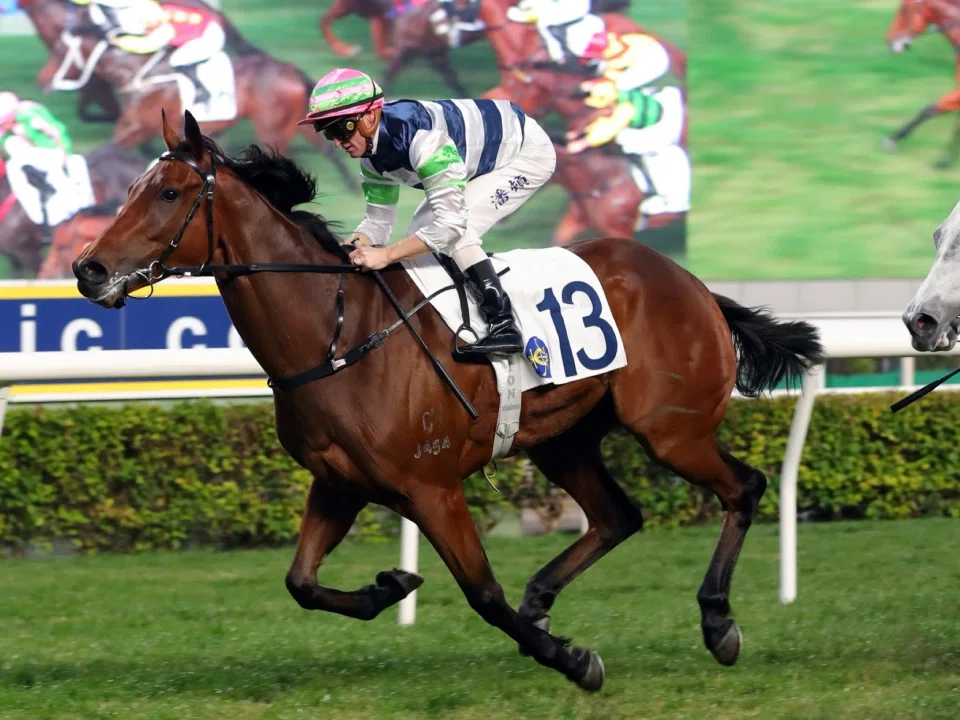Packing Angel (Zac Purton) winning a Class 3 (1,400m) race at Sha Tin on Jan 5. With Purton injured, the reins will be handed over to the Australian's former arch-rival, Joao Moreira in the Hong Kong Classic Cup (1,800m) at Sha Tin on March 2.
