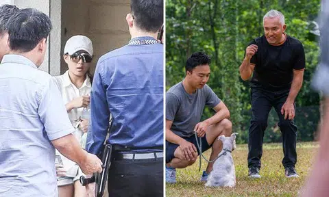 Photos: Cesar's Recruit: Asia, The Straits Times