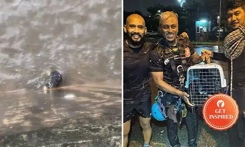 Men abseil down drain to rescue kitten during heavy downpour at Bedok Reservoir