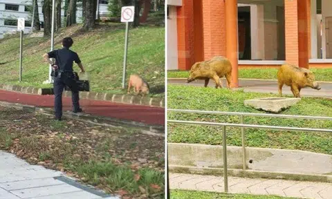 PHOTOS: SHIN MIN DAILY NEWS