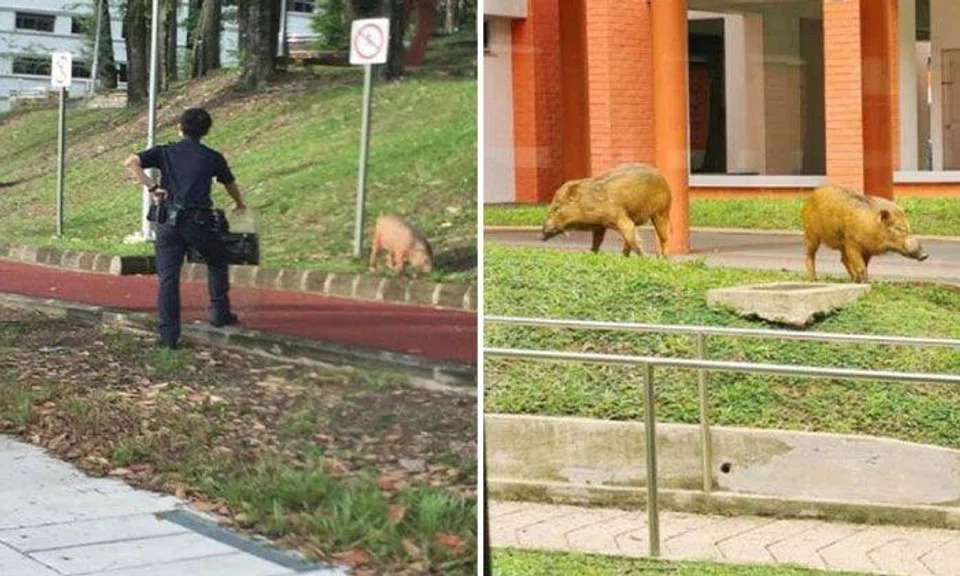 PHOTOS: SHIN MIN DAILY NEWS