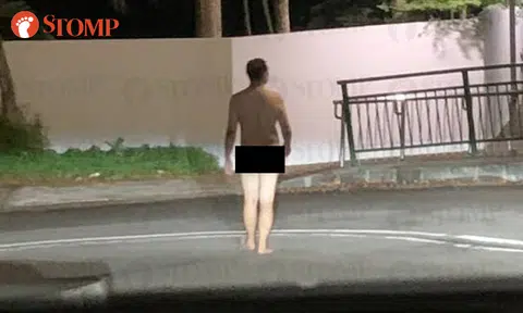 Naked man unfazed while on 'catwalk' at Old Holland Road