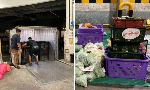 ICA officers at Woodlands Checkpoint noticed discrepancies in the consignment transported by two trucks and referred them to SFA for further checks.