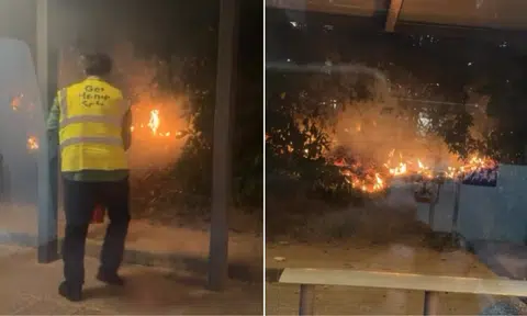 Tower Transit bus driver stops vehicle to extinguish Punggol vegetation fire, gets cheers from passengers