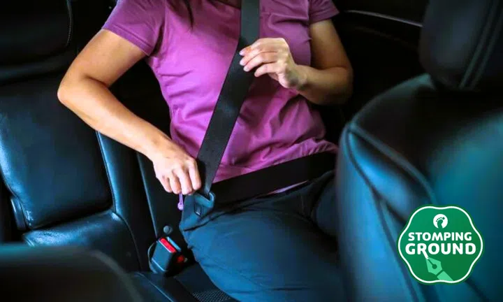 If passenger doesn't wear seat belt, PHV driver should be allowed to cancel trip without penalty: Stomper