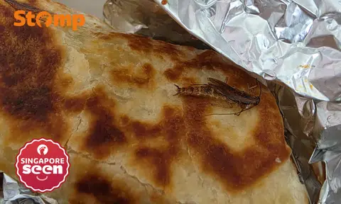 Insect in Foodpanda order: Food safety concerns