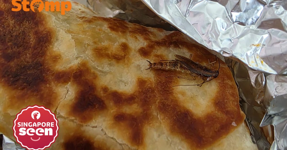 Customer finds insect in Stuff'd order | Stomp