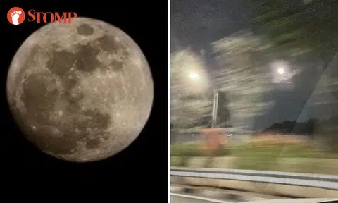 Skygazers look to the sky to catch 2023's last supermoon -- but Stomper captures something else