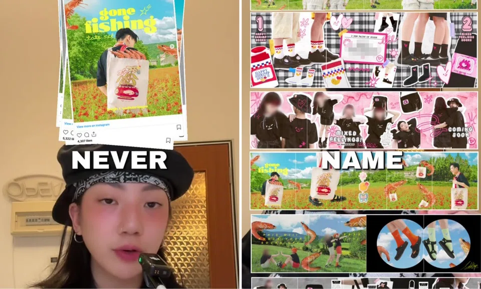 Netizens drew parallels between the posts and a prominent creator's Instagram account.