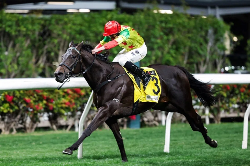 Soleil Fighter (Ryan Moore) taking out the Class 3 Tsui Man handicap (1,650m) at Happy Valley on Feb 26. He will partner Zac Purton in the Class 2 Choi Hung Handicap (1,650m) at Happy Valley on May 14.
