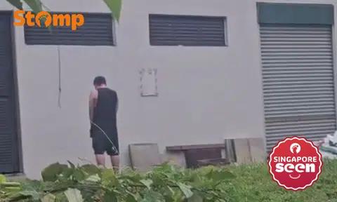 public urination, Hougang, environmental pollution
