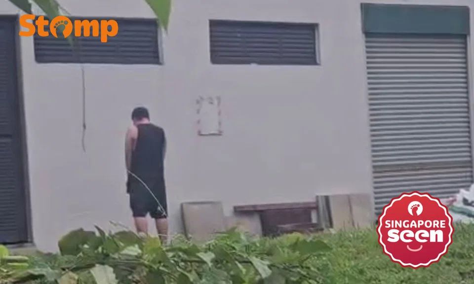 public urination, Hougang, environmental pollution