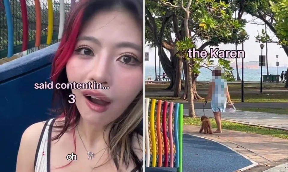 woman allegedly insults singer filming content at east coast park