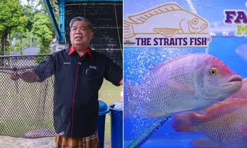 Malaysia’s Minister of Agriculture and Food Security Mohamad Sabu encouraged Malaysians to cultivate vegetables and fishes to offset the rising costs of living.