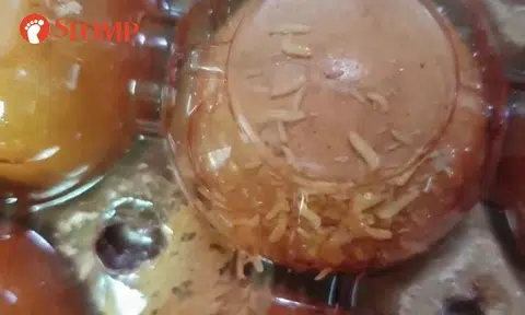 'Revolting stench' in grocery delivery turns out to be from infestation of maggots on Pasar eggs