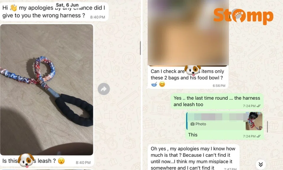 Dog owner allegedly blocked by sitter over missing items, late fee dispute — then receives ‘sudden’ refund 